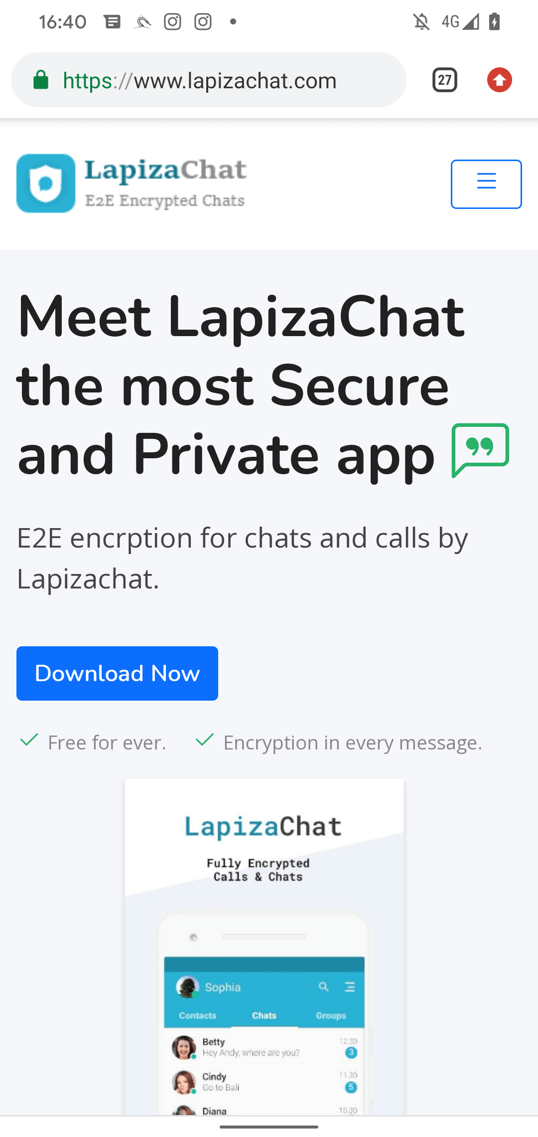 Figure 4. LapizaChat website