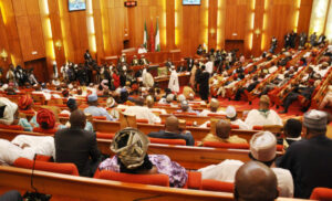 Crypto Regulation Critical: Nigeria's Senate Committee Presses for Investor Protection