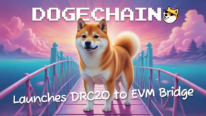 Dogechain's PawPort: The Game-Changer Dogecoin Needed? - Crypto-News.net