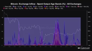 Increase In Bitcoin Inflow To Exchanges Suggests Potential Drop In BTC Price To $63,000 - CryptoInfoNet