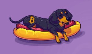 WienerAI Sees SHIB Holders Transferring Capital Into The Dog-Based AI Crypto Gem